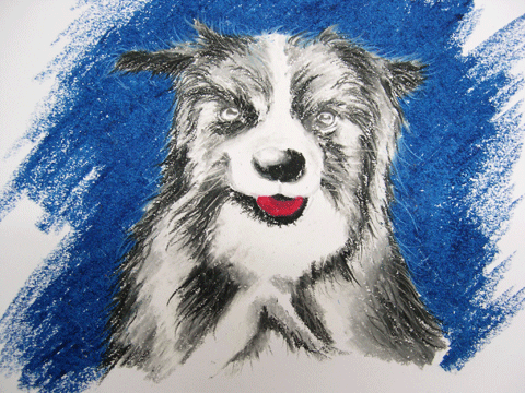 dog.gif